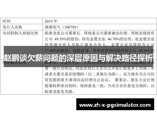 赵鹏谈欠薪问题的深层原因与解决路径探析