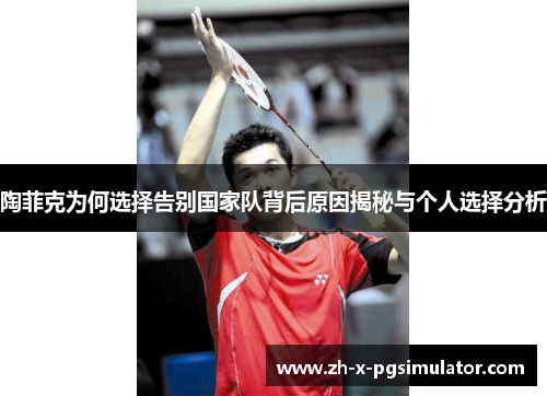 陶菲克为何选择告别国家队背后原因揭秘与个人选择分析