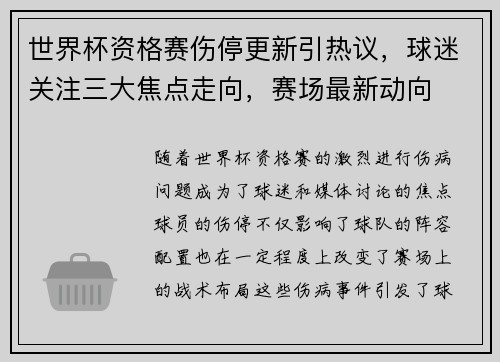 世界杯资格赛伤停更新引热议，球迷关注三大焦点走向，赛场最新动向